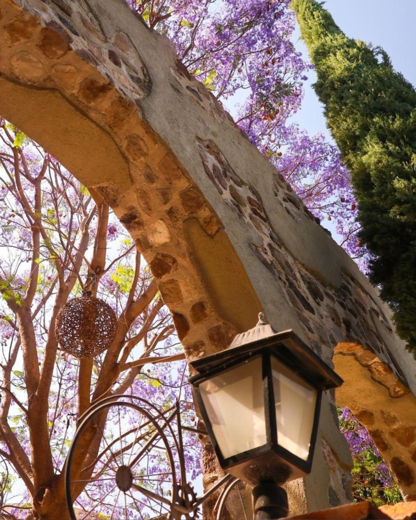 Suites Campestres Montebello Bernal Exterior foto