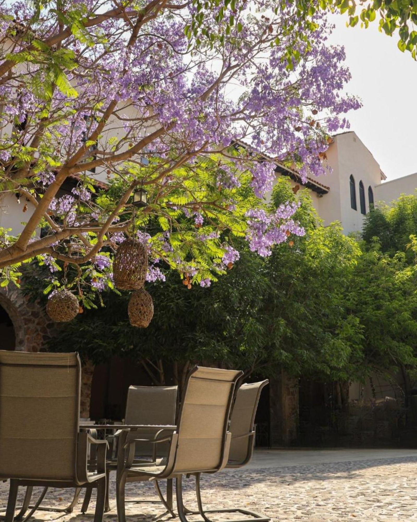 Suites Campestres Montebello Bernal Exterior foto
